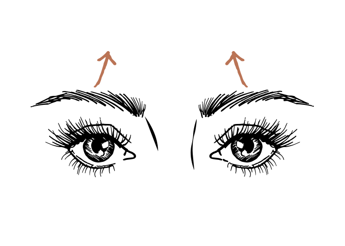 Le lifting des sourcils | Marque 2