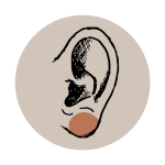 Ohrläppchenkorrektur