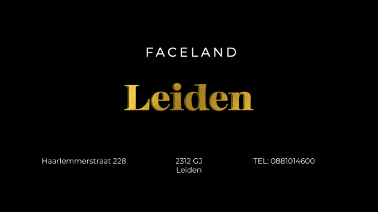 Faceland Leiden