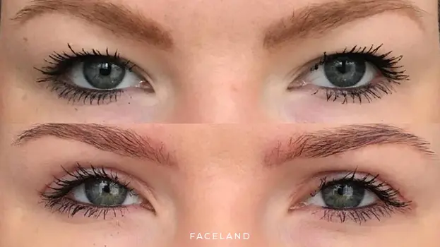 Faceland