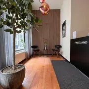 Faceland Bruxells